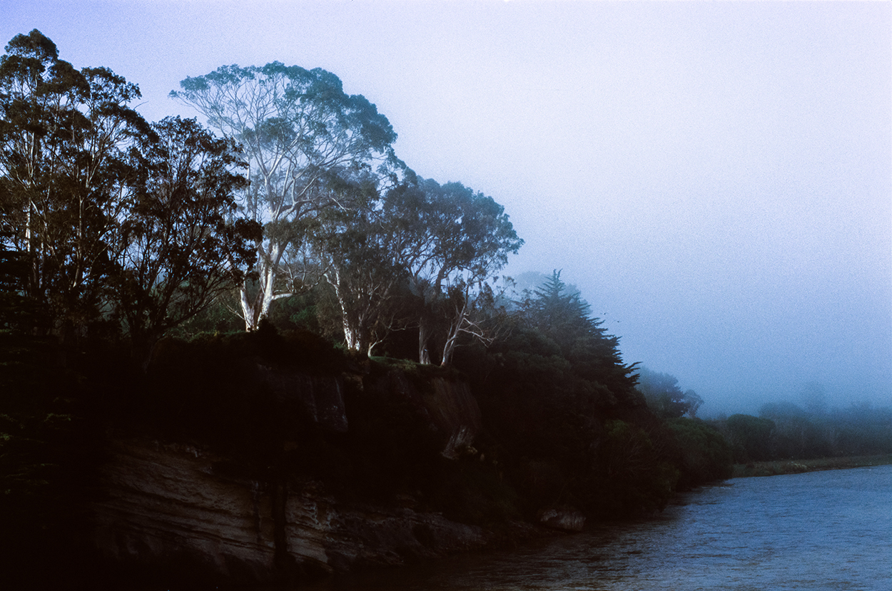 overcast landscape with trees and water