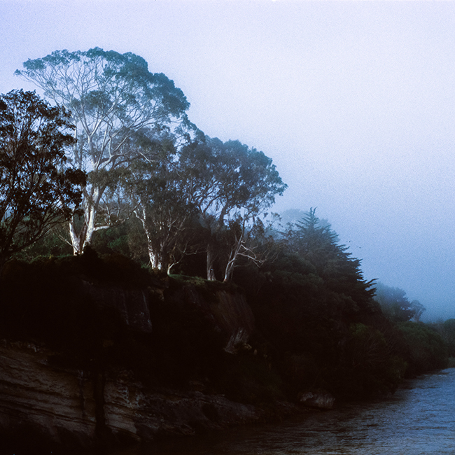 overcast landscape with trees and water